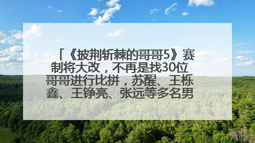 《披荆斩棘的哥哥5》赛制将大改，不再是找30位哥哥进行比拼，苏醒、王栎鑫、王铮亮、张远等多名男团选手被曝将参加