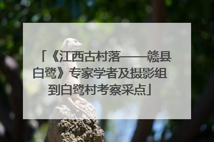 《江西古村落——赣县白鹭》专家学者及摄影组到白鹭村考察采点