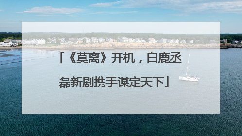 《莫离》开机，白鹿丞磊新剧携手谋定天下