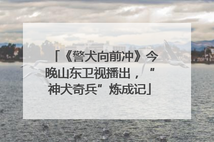 《警犬向前冲》今晚山东卫视播出，“神犬奇兵”炼成记