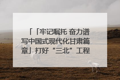 「牢记嘱托 奋力谱写中国式现代化甘肃篇章」打好“三北”工程攻坚战 筑牢国家西部生态安全屏障
