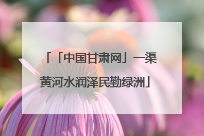 「中国甘肃网」一渠黄河水润泽民勤绿洲