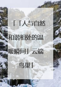 「人与自然和谐相处的温暖瞬间」云端鸟巢