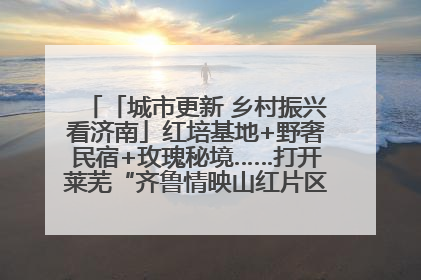 「城市更新 乡村振兴看济南」红培基地+野奢民宿+玫瑰秘境……打开莱芜“齐鲁情映山红片区”的破圈秘籍