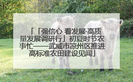 「强信心 看发展·高质量发展调研行」初夏时节农事忙——武威市凉州区推进高标准农田建设见闻