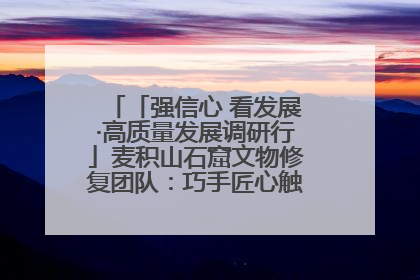 「强信心 看发展·高质量发展调研行」麦积山石窟文物修复团队：巧手匠心触摸“光阴的故事”