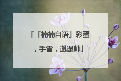 「楠楠自语」彩蛋，手雷，邋遢帅