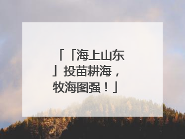 「海上山东」投苗耕海，牧海图强！