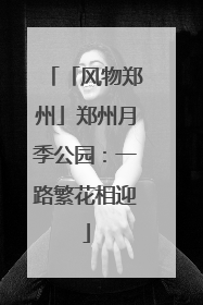「风物郑州」郑州月季公园：一路繁花相迎