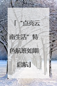 “点亮云南生活”特色航班如期启航