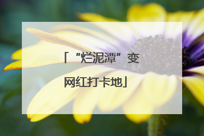 “烂泥潭”变网红打卡地