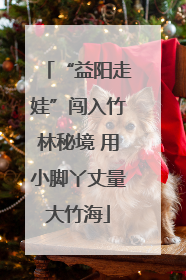 “益阳走娃”闯入竹林秘境 用小脚丫丈量大竹海