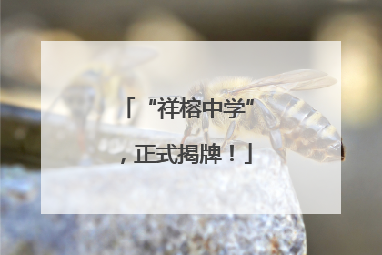 “祥榕中学”，正式揭牌！