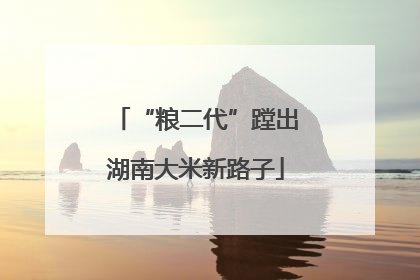 “粮二代”蹚出湖南大米新路子