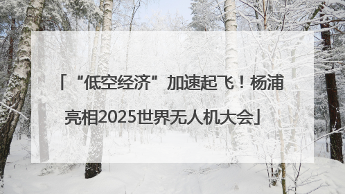 “低空经济”加速起飞！杨浦亮相2025世界无人机大会
