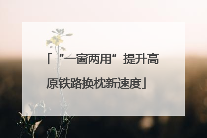 “一窗两用”提升高原铁路换枕新速度