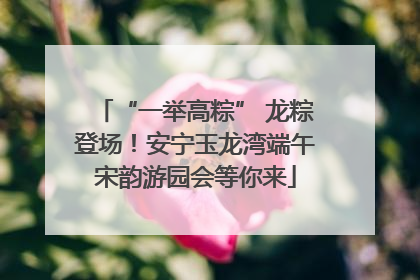 “一举高粽” 龙粽登场！安宁玉龙湾端午宋韵游园会等你来