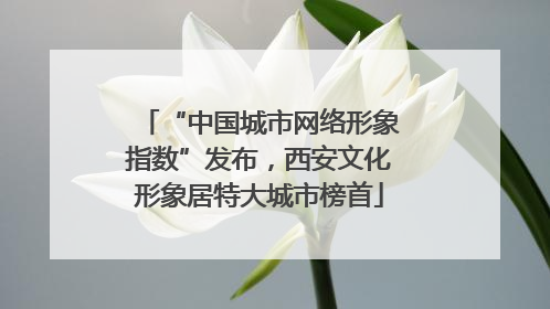 “中国城市网络形象指数”发布，西安文化形象居特大城市榜首