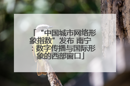 “中国城市网络形象指数”发布 南宁：数字传播与国际形象的西部窗口