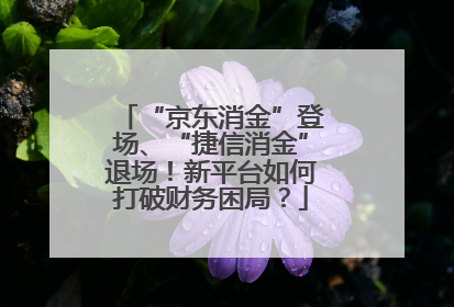 “京东消金”登场、“捷信消金”退场！新平台如何打破财务困局？