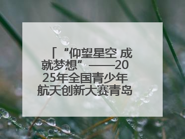 “仰望星空 成就梦想”——2025年全国青少年航天创新大赛青岛选拔赛成功举办