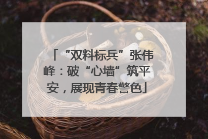 “双料标兵”张伟峰：破“心墙”筑平安，展现青春警色