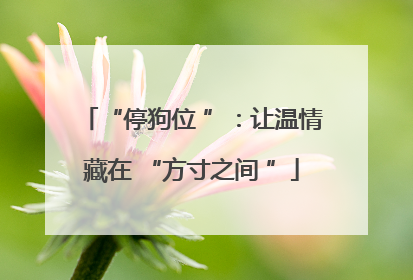 “停狗位 ”：让温情藏在 “方寸之间 ”