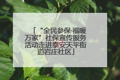 “全民参保·福暖万家”社保宣传服务活动走进泰安天平街道岩庄社区