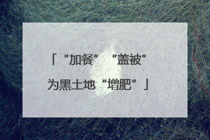 “加餐”“盖被” 为黑土地“增肥”