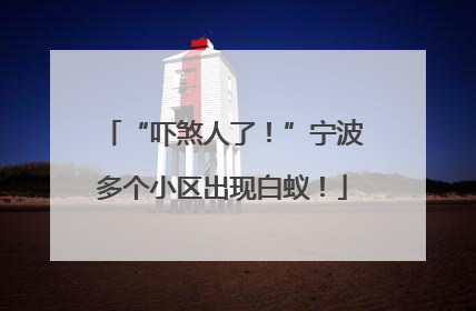 “吓煞人了！”宁波多个小区出现白蚁！