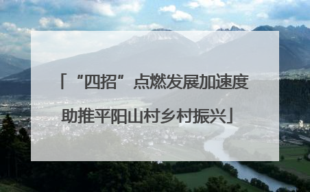 “四招”点燃发展加速度 助推平阳山村乡村振兴