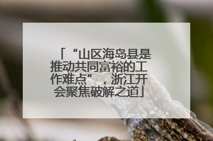 “山区海岛县是推动共同富裕的工作难点”，浙江开会聚焦破解之道