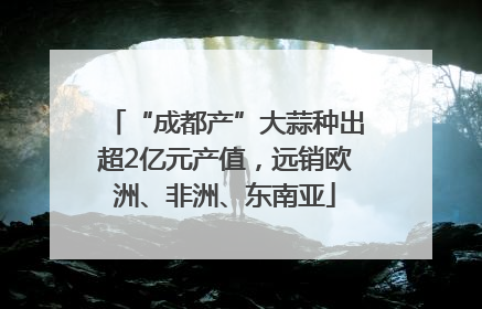 “成都产”大蒜种出超2亿元产值，远销欧洲、非洲、东南亚