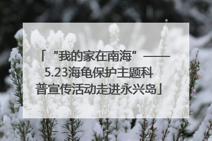“我的家在南海”——5.23海龟保护主题科普宣传活动走进永兴岛