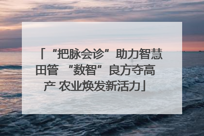 “把脉会诊”助力智慧田管 “数智”良方夺高产 农业焕发新活力