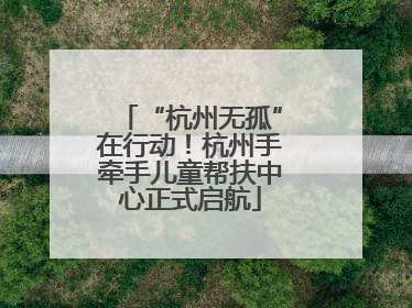 “杭州无孤”在行动！杭州手牵手儿童帮扶中心正式启航