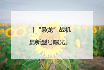 “枭龙”战机最新型号曝光