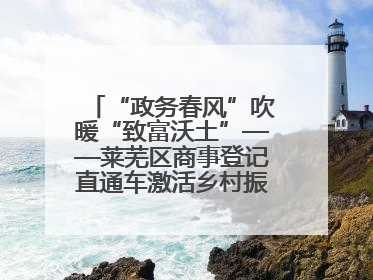 “政务春风”吹暖“致富沃土”——莱芜区商事登记直通车激活乡村振兴“一池春水”