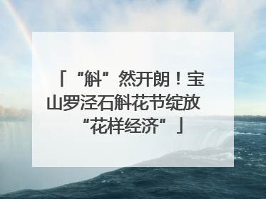 “斛”然开朗！宝山罗泾石斛花节绽放“花样经济”