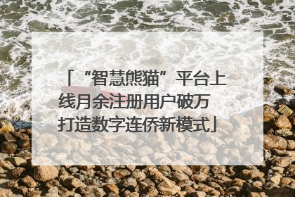 “智慧熊猫”平台上线月余注册用户破万 打造数字连侨新模式