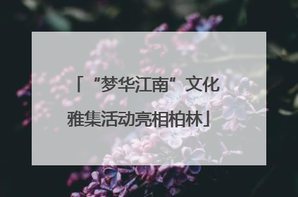 “梦华江南”文化雅集活动亮相柏林