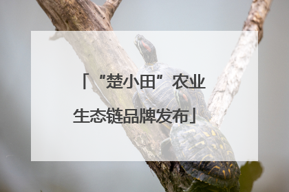 “楚小田”农业生态链品牌发布