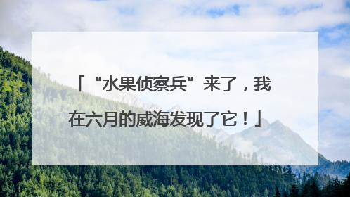 “水果侦察兵”来了，我在六月的威海发现了它！