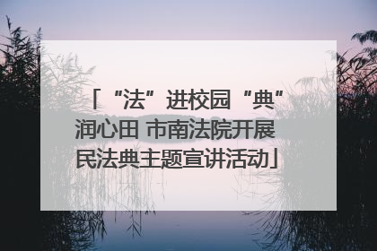 “法”进校园“典”润心田 市南法院开展民法典主题宣讲活动