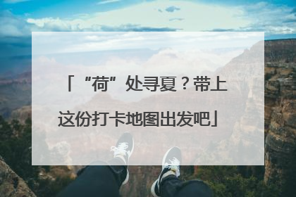 “荷”处寻夏？带上这份打卡地图出发吧
