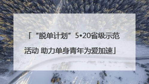 “脱单计划”5•20省级示范活动 助力单身青年为爱加速