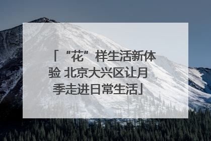 “花”样生活新体验 北京大兴区让月季走进日常生活