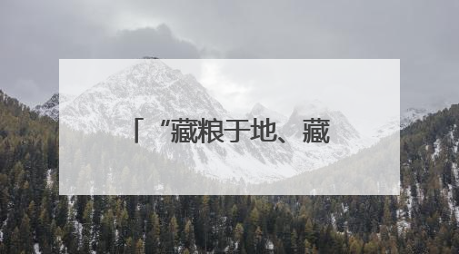 “藏粮于地、藏粮于技”见成效 盐碱滩涂变身“黄金粮仓”