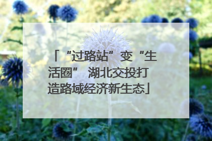 “过路站”变“生活圈” 湖北交投打造路域经济新生态