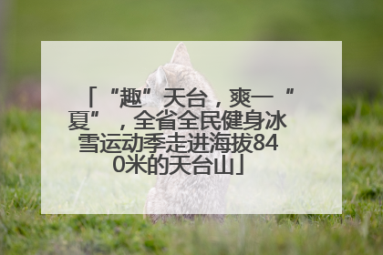 “趣”天台，爽一“夏”，全省全民健身冰雪运动季走进海拔840米的天台山